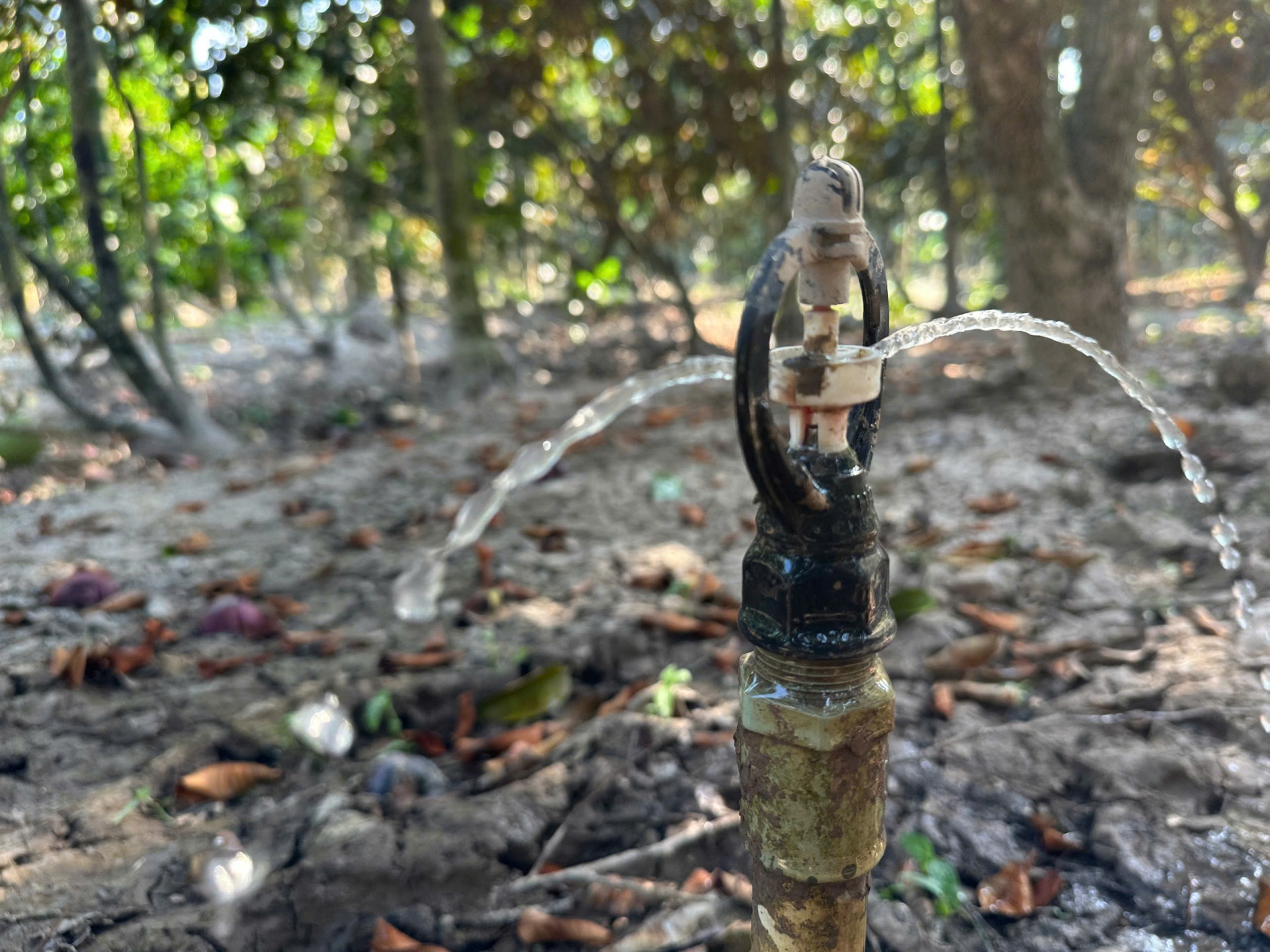 Cống Rạch Mọp: Điểm tựa thủy lợi thích ứng mặn, ngọt vùng Nam sông Hậu Cống Rạch Mọp: Điểm tựa thủy lợi thích ứng mặn, ngọt vùng Nam sông Hậu