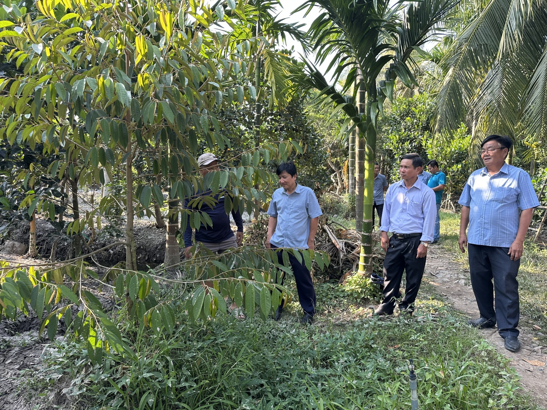 Cống Rạch Mọp: Điểm tựa thủy lợi thích ứng mặn, ngọt vùng Nam sông Hậu Cống Rạch Mọp: Điểm tựa thủy lợi thích ứng mặn, ngọt vùng Nam sông Hậu