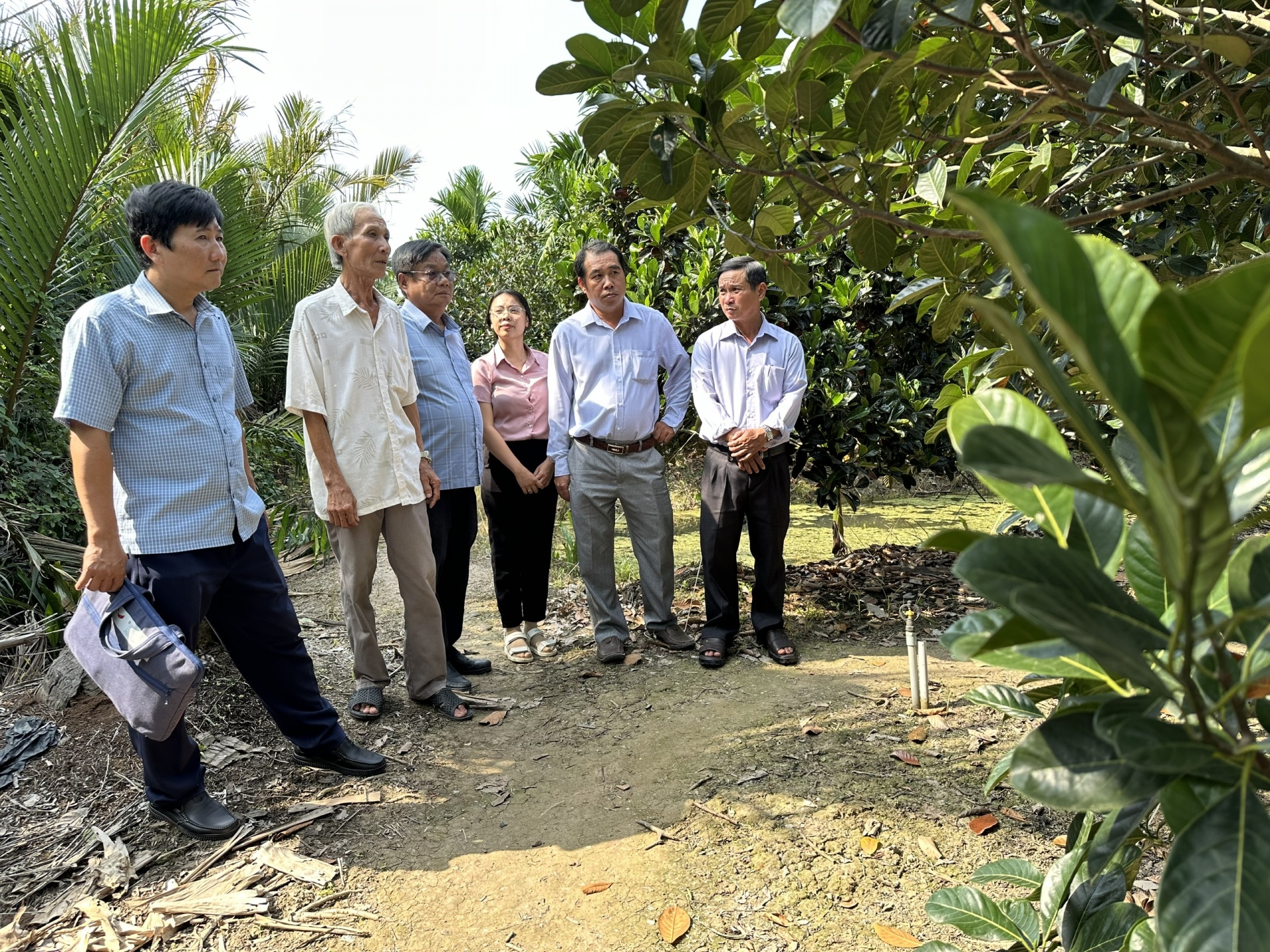 Cống Rạch Mọp: Điểm tựa thủy lợi thích ứng mặn, ngọt vùng Nam sông Hậu Cống Rạch Mọp: Điểm tựa thủy lợi thích ứng mặn, ngọt vùng Nam sông Hậu