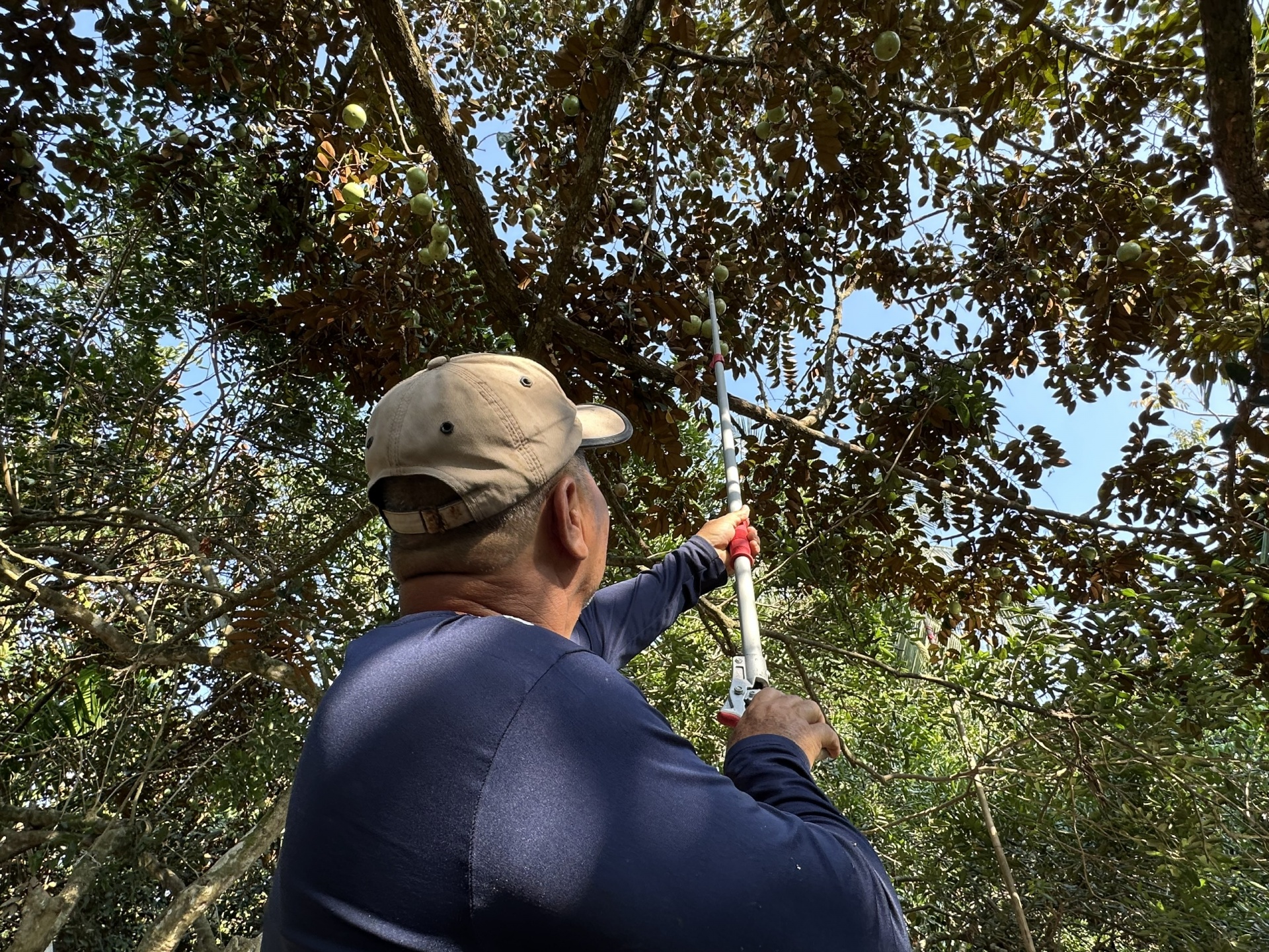 Cống Rạch Mọp: Điểm tựa thủy lợi thích ứng mặn, ngọt vùng Nam sông Hậu Cống Rạch Mọp: Điểm tựa thủy lợi thích ứng mặn, ngọt vùng Nam sông Hậu