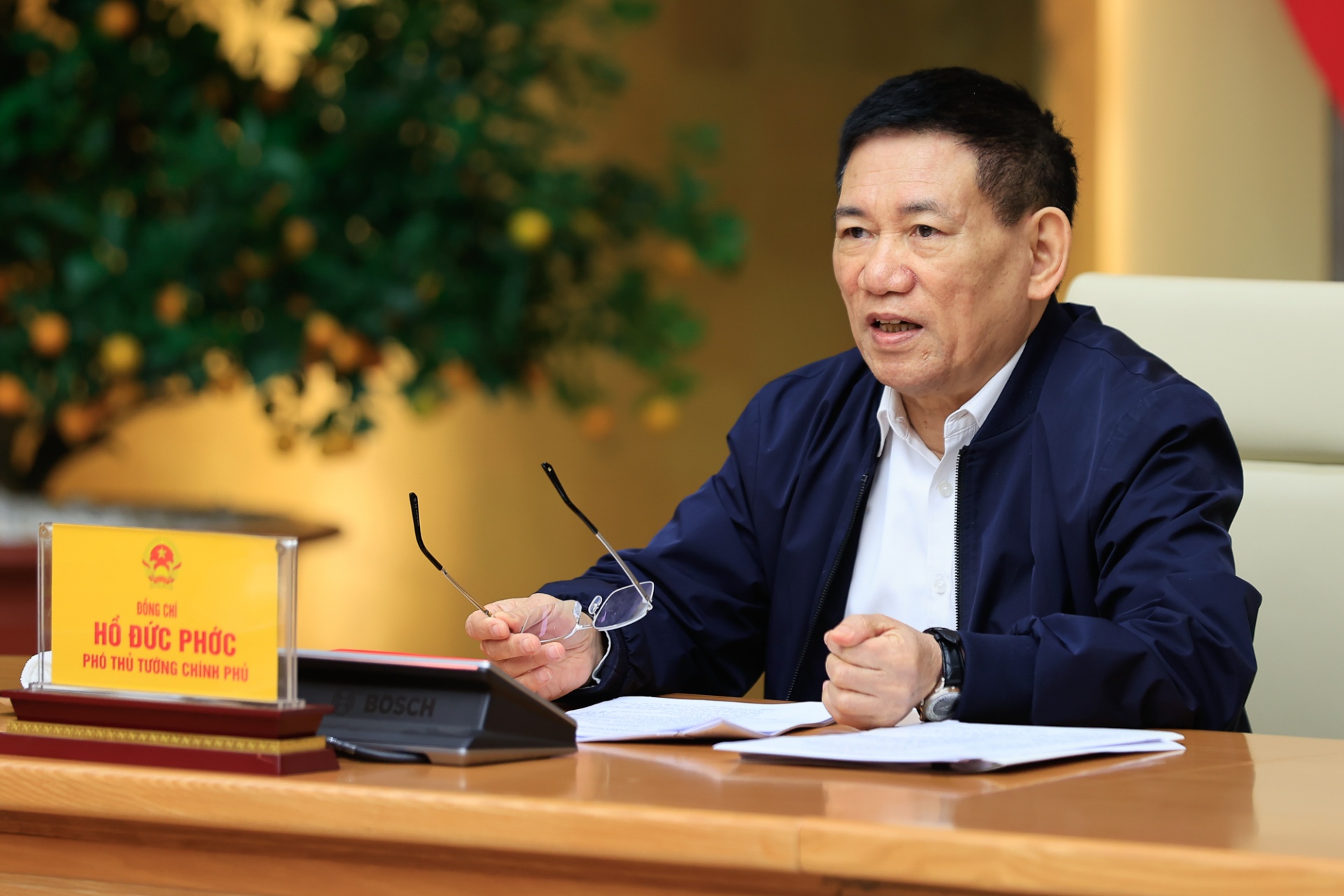   Phó Thủ tướng Hồ Đức Phớc phát biểu tại phiên họp - Ảnh: VGP