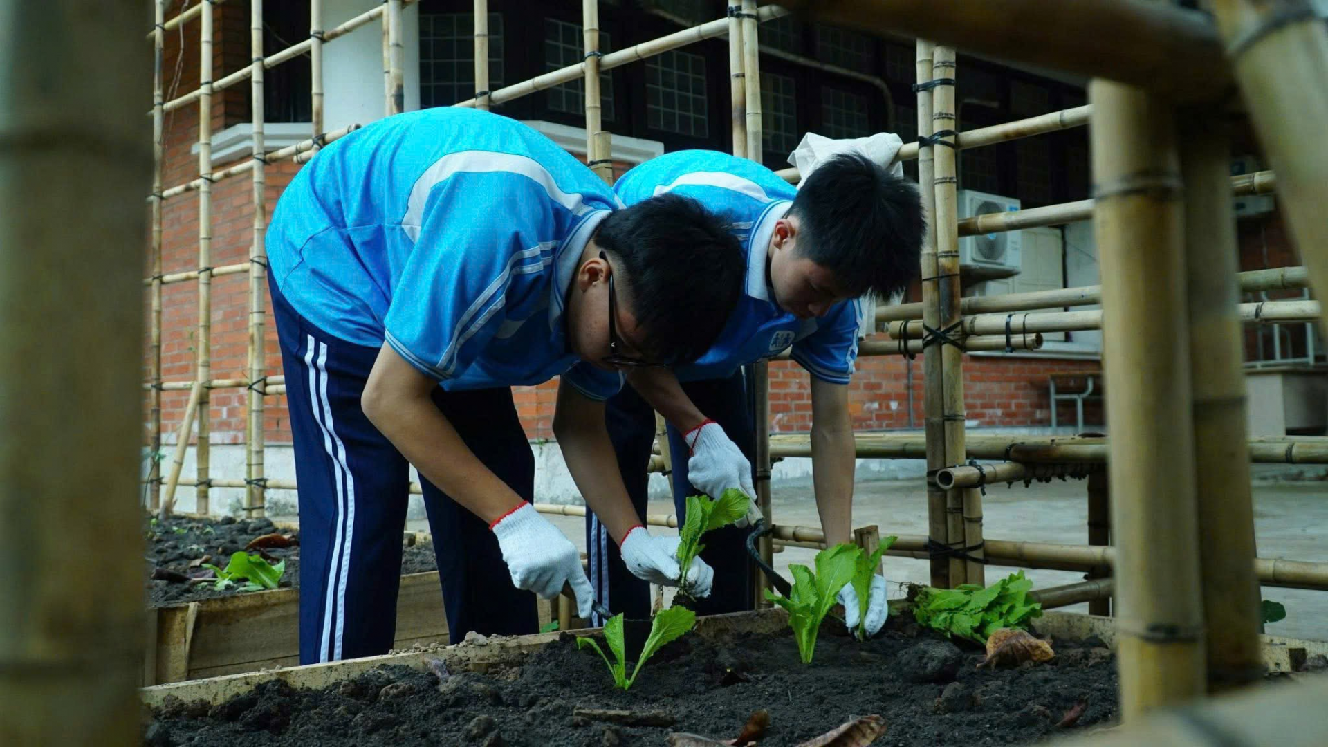 Chuỗi sự kiện “Vườn trường sinh thái - Không gian kết nối và giáo dục tích hợp liên môn”: Thúc đẩy giáo dục bền vững từ trải nghiệm thực tiễn