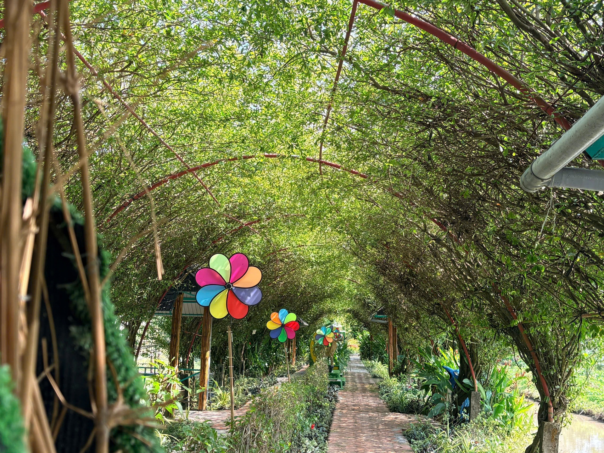 Đến Sông Hậu Farm, để thấy Tết của những ký ức miền sông nước