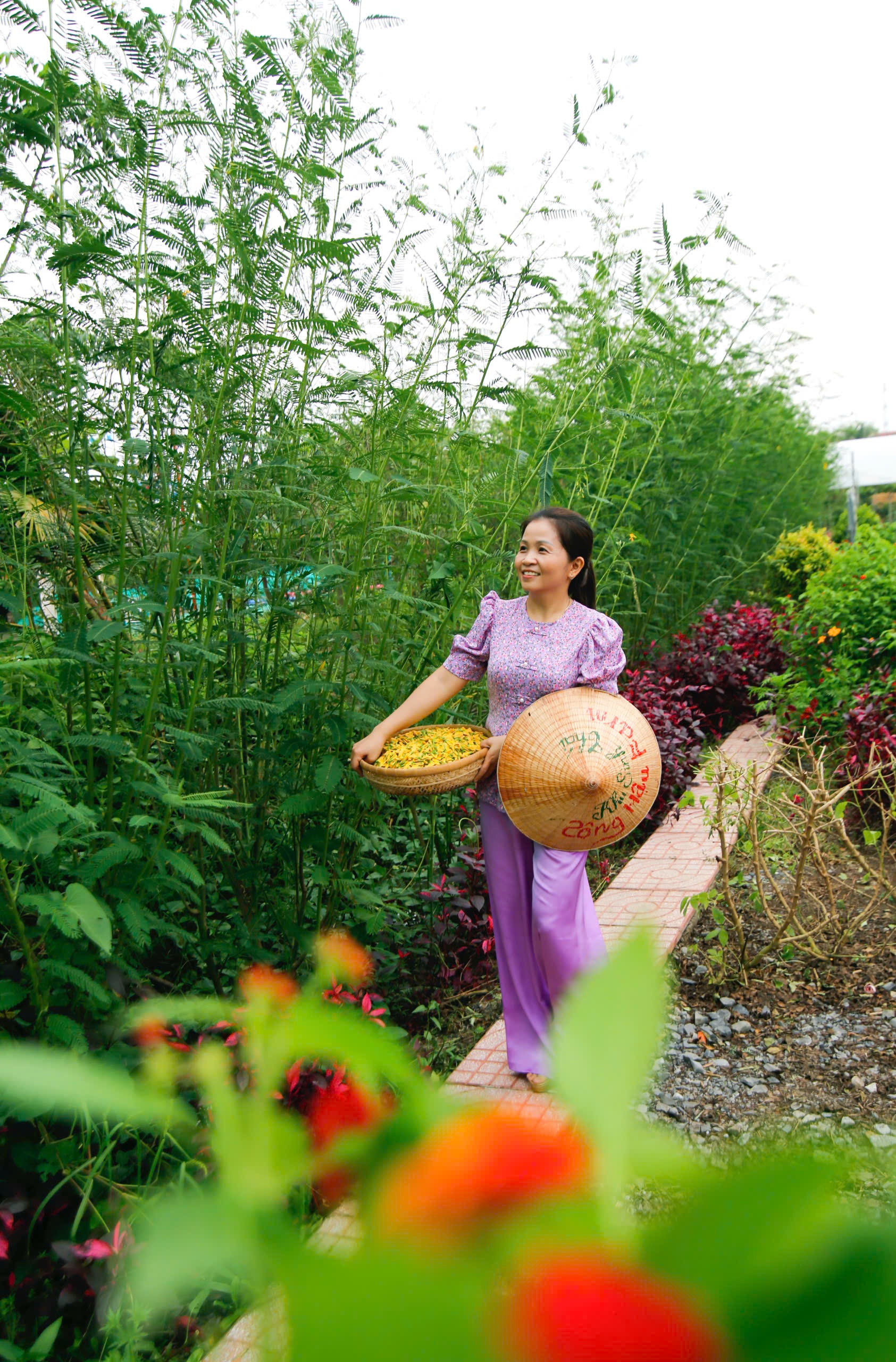 Đến Sông Hậu Farm, để thấy Tết của những ký ức miền sông nước