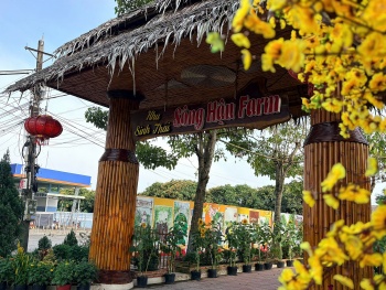 Đến Sông Hậu Farm, để thấy Tết của những ký ức miền sông nước