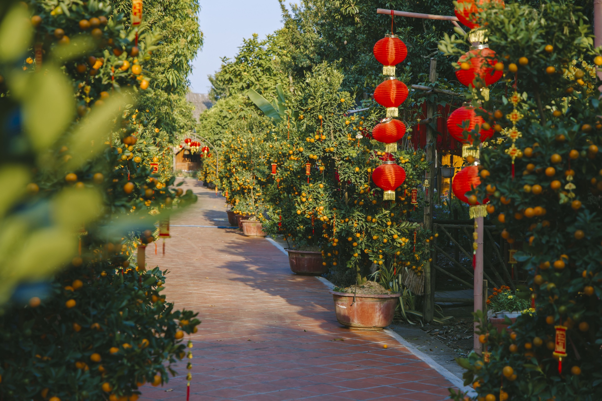 Du xuân Bính Ngọ giữa không gian Tết Á Đông tại Cantho Eco Resort