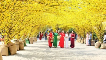 Thời tiết Tết Nguyên đán Bính Ngọ 2026 khá thuận lợi