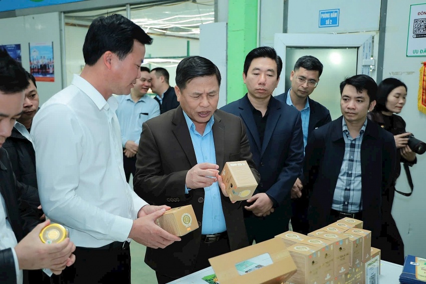 Nông nghiệp khó phát triển nhưng Nấm Tam Đảo không sợ khó