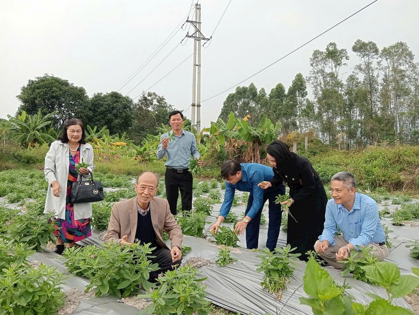 Nông nghiệp khó phát triển nhưng Nấm Tam Đảo không sợ khó