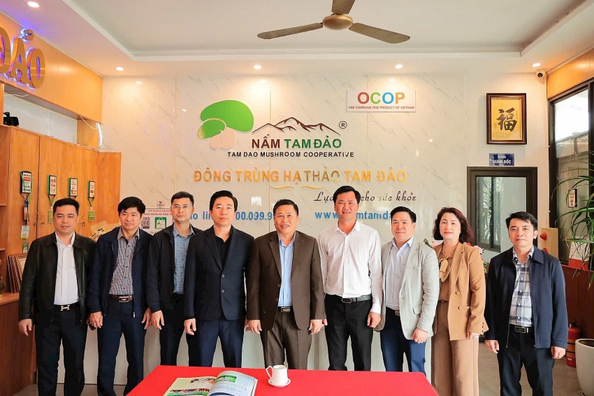 Nông nghiệp khó phát triển nhưng Nấm Tam Đảo không sợ khó