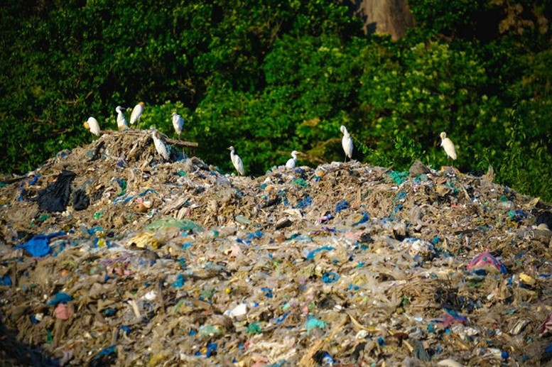 Chống ô nhiễm rác thải nhựa trong du lịch vì một tương lai xanh