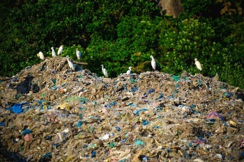 Chống ô nhiễm rác thải nhựa trong du lịch vì một tương lai xanh