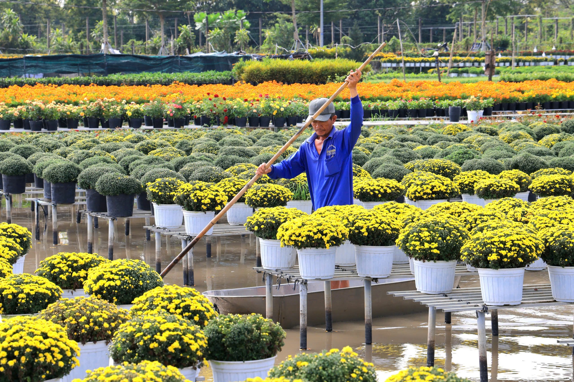 Tết đẹp từ độ nào