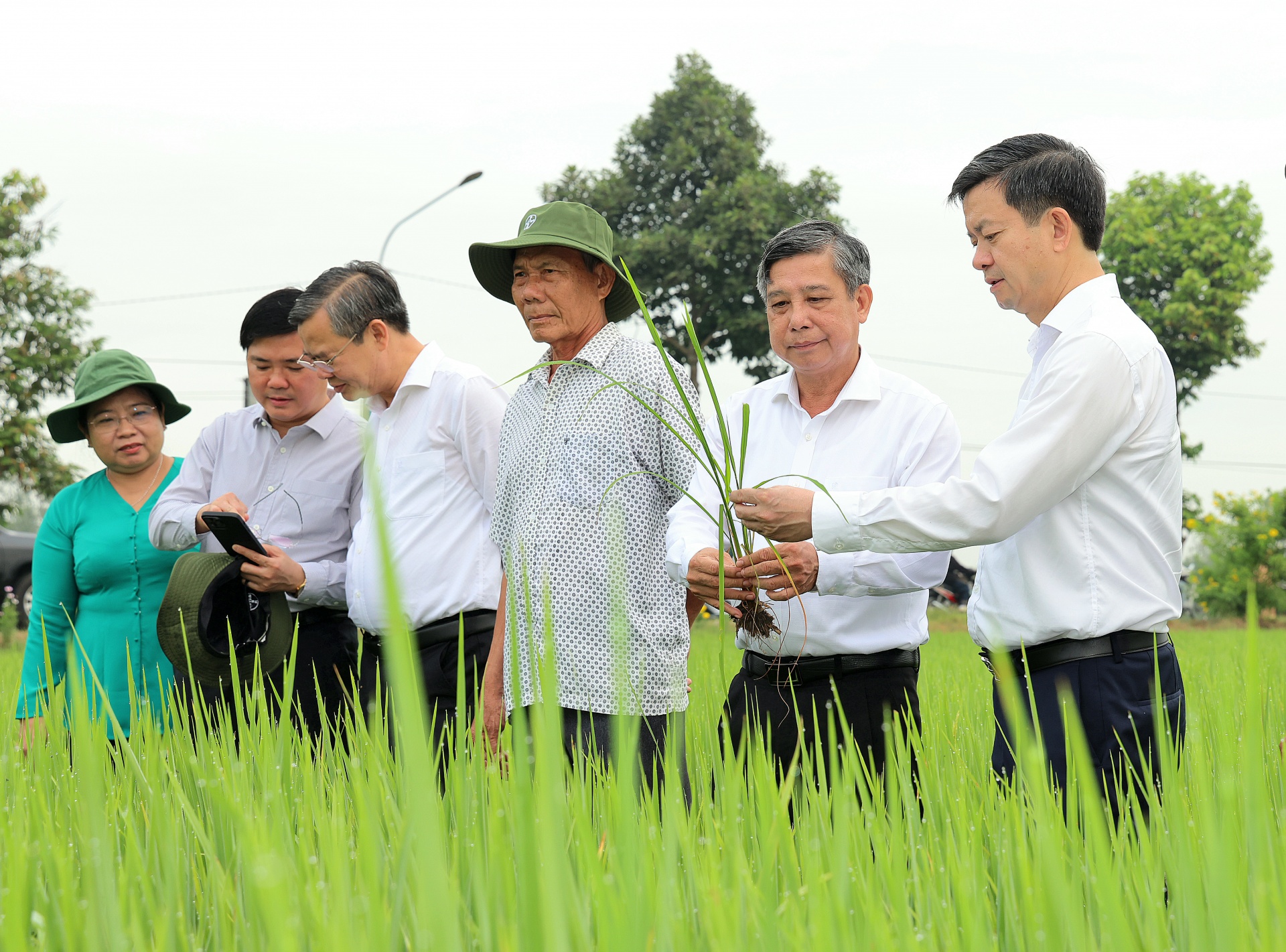 Lãnh đạo TP Cần Thơ thăm đồng đầu xuân mới Lãnh đạo TP Cần Thơ thăm đồng đầu xuân mới