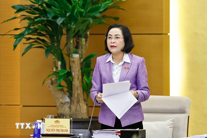   Phó Chủ tịch Quốc hội Nguyễn Thị Thanh, Ủy viên Hội đồng Bầu cử Quốc gia phát biểu khai mạc Hội nghị. (Ảnh: TTXVN)