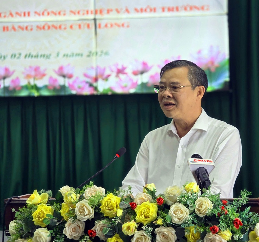 Chủ động phối hợp tiêu thụ lúa gạo hàng hóa ngày từ đầu năm