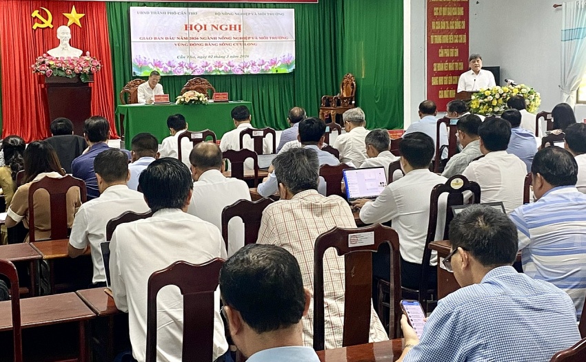 Chủ động phối hợp tiêu thụ lúa gạo hàng hóa ngày từ đầu năm