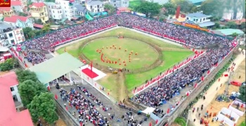 Phú Thọ: Hàng vạn du khách tham dự lễ hội chọi trâu xã Hải Lựu năm 2026