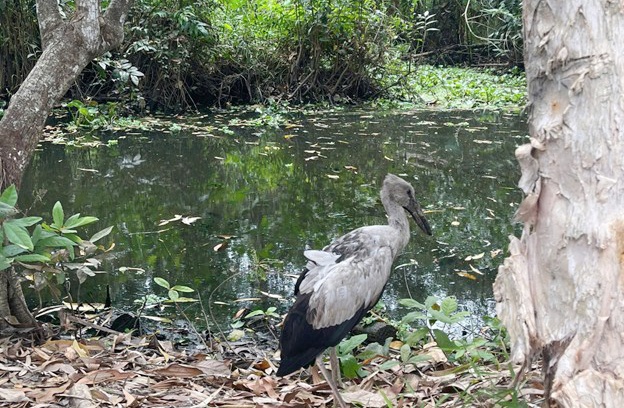 Nâng cao ý thức bảo vệ động vật hoang dã, giữ gìn nguồn lợi thủy sản vùng ĐBSCL