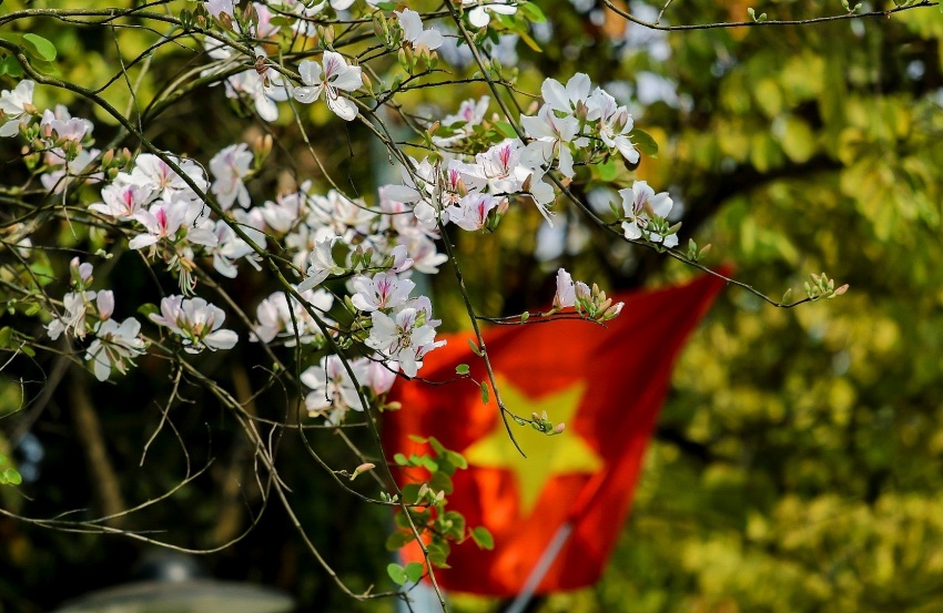 Lễ hội Hoa Ban 2026: Đòn bẩy du lịch, xúc tiến đầu tư Điện Biên