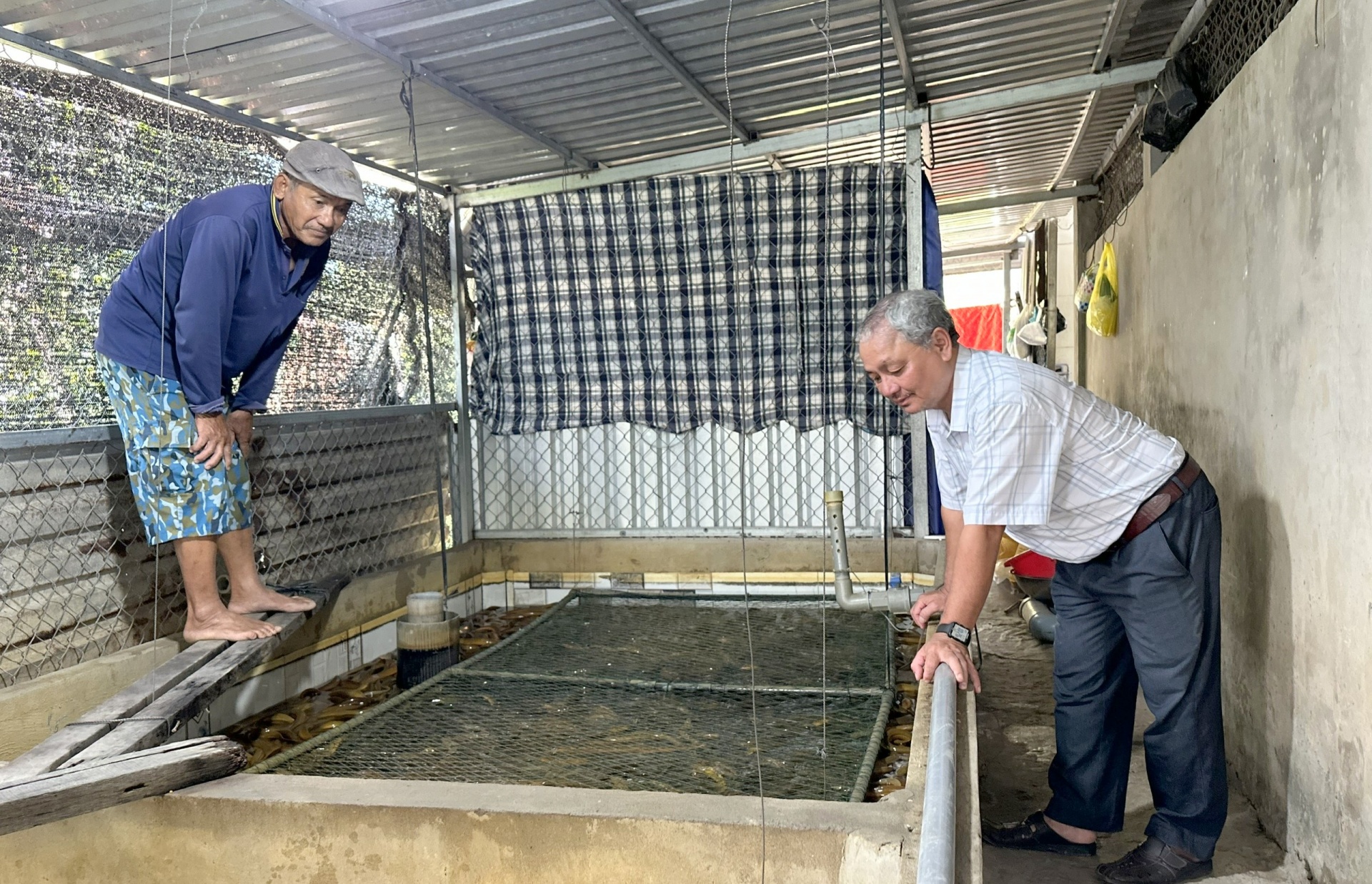 Mô hình nuôi lươn không bùn giúp phụ nữ Cờ Đỏ phát triển kinh tế