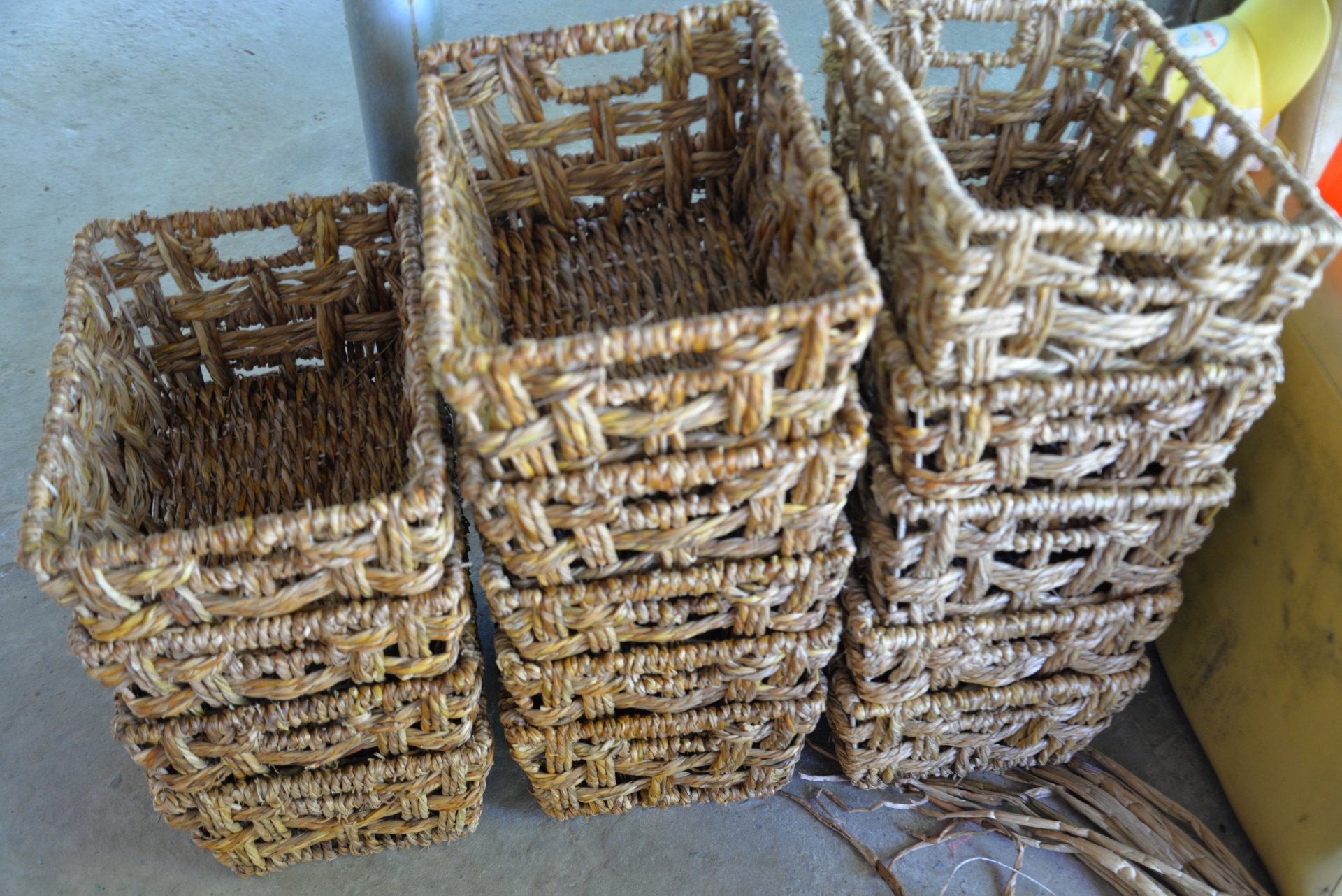 Mô hình sinh kế tại chỗ mở hướng cho phụ nữ nông thôn Cà Mau