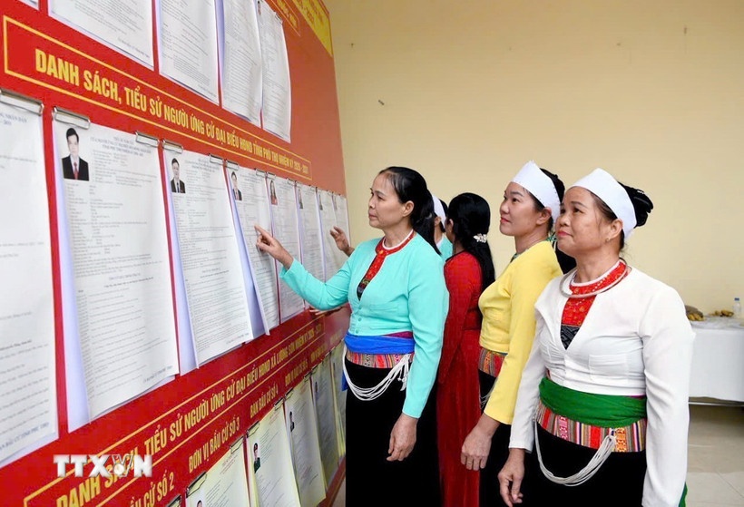 Nghiên cứu danh sách các ứng cử viên. (Ảnh: TTXVN)