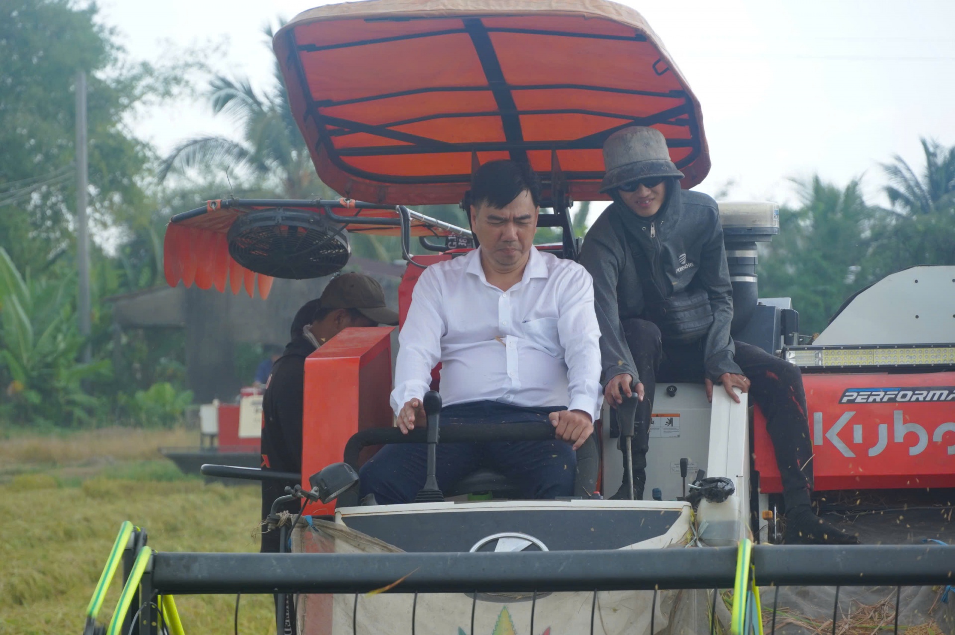 Lúa liên kết xuất khẩu sang EU-Chủ tịch xã xuống đồng cùng nông dân thu hoạch