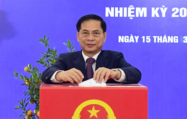 Các đồng chí lãnh đạo Đảng, Nhà nước hòa cùng 'Ngày hội non sông'