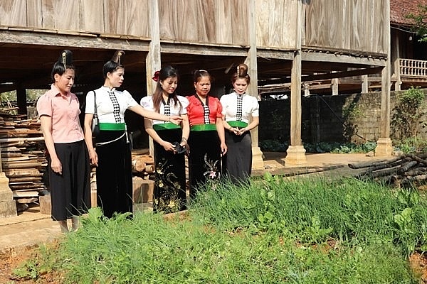 Sơn La: Lan toả phong trào phụ nữ bảo vệ môi trường xanh - sạch - đẹp