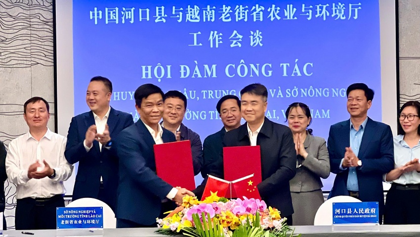 Lào Cai: Sở Nông nghiệp và Môi trường thăm và làm việc với chính quyền nhân dân huyện Hà Khẩu, tỉnh Vân Nam (Trung Quốc)