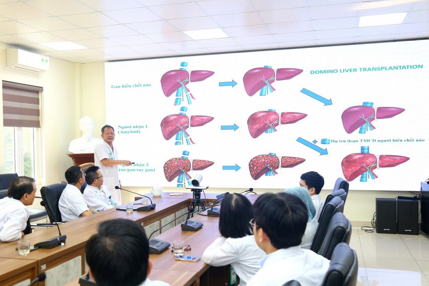 Ghép tạng theo chuỗi domino: Dấu mốc mới trong y khoa tại Việt Nam Ghép tạng theo chuỗi domino: Dấu mốc mới trong y khoa tại Việt Nam