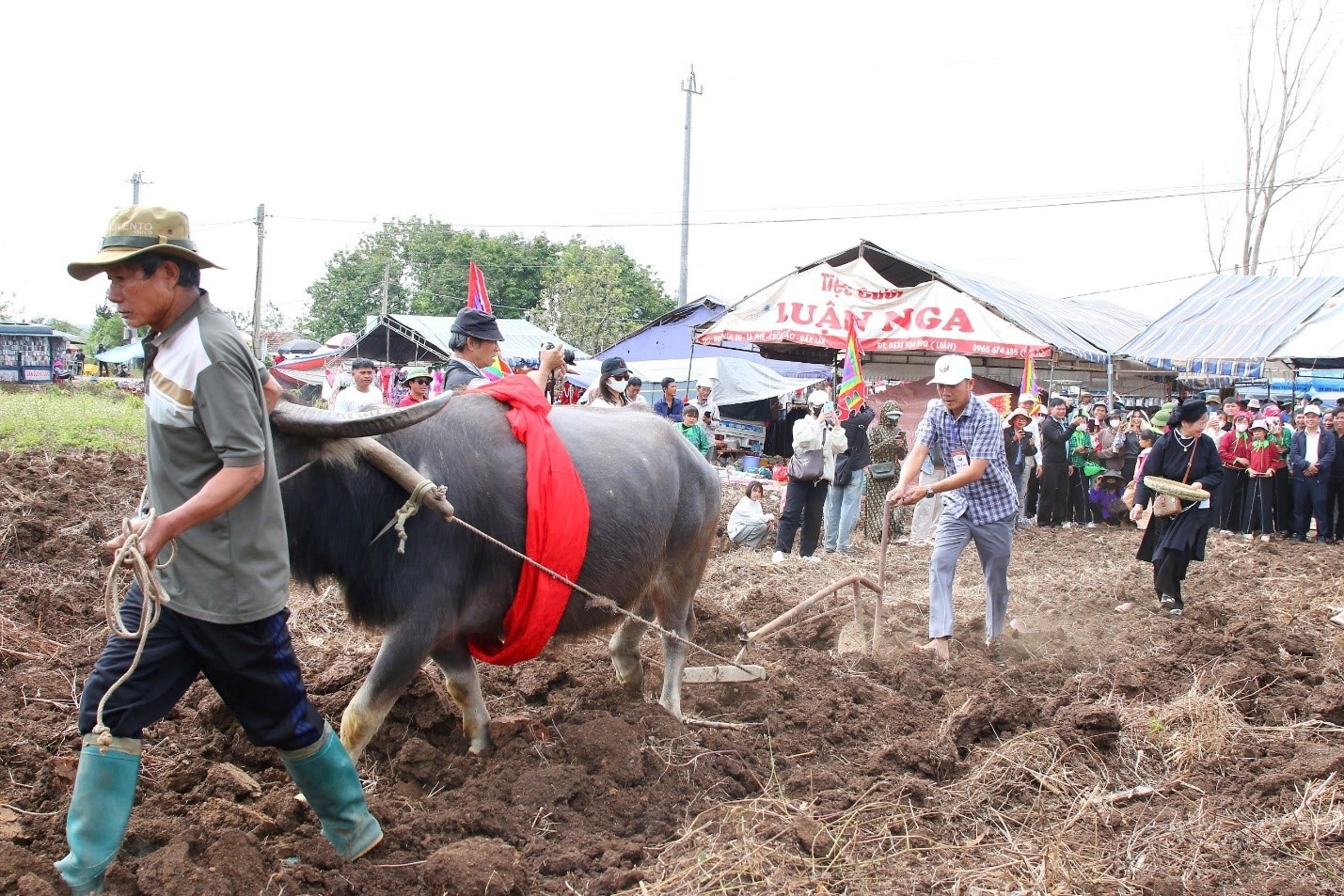 Lãnh đạo địa phương thực hiện đường cày đầu tiên trong nghi thức xuống đồng. Ảnh: Đức Sỹ Lãnh đạo địa phương thực hiện đường cày đầu tiên trong nghi thức xuống đồng. Ảnh: Đức Sỹ