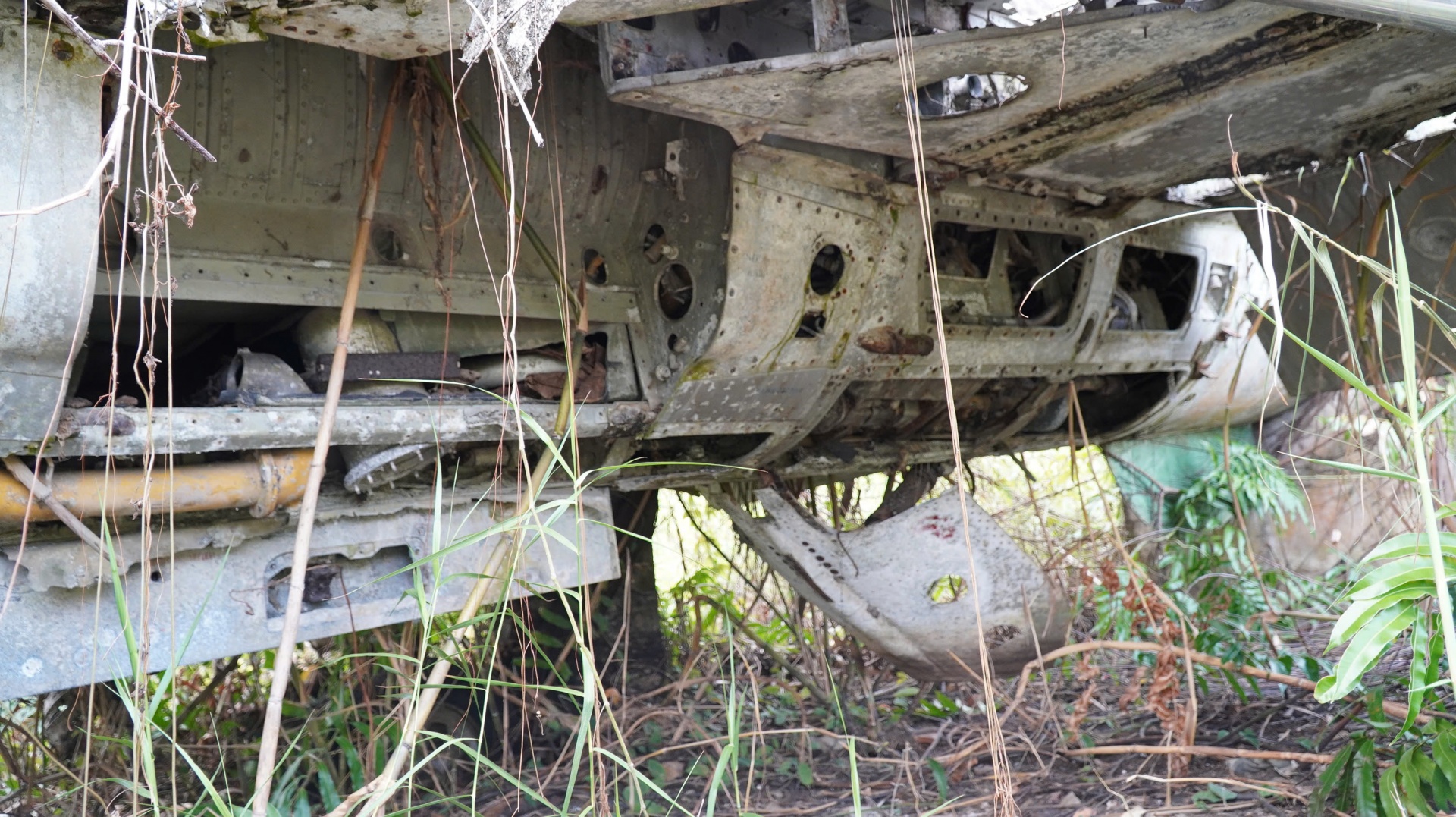 Vụ máy bay MiG-21 “bỏ quên” tại Cà Mau