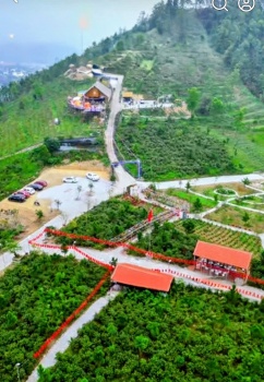 phu tho nong tinh trang xay dung trai phep tren dat rung san xuat o nui ngang