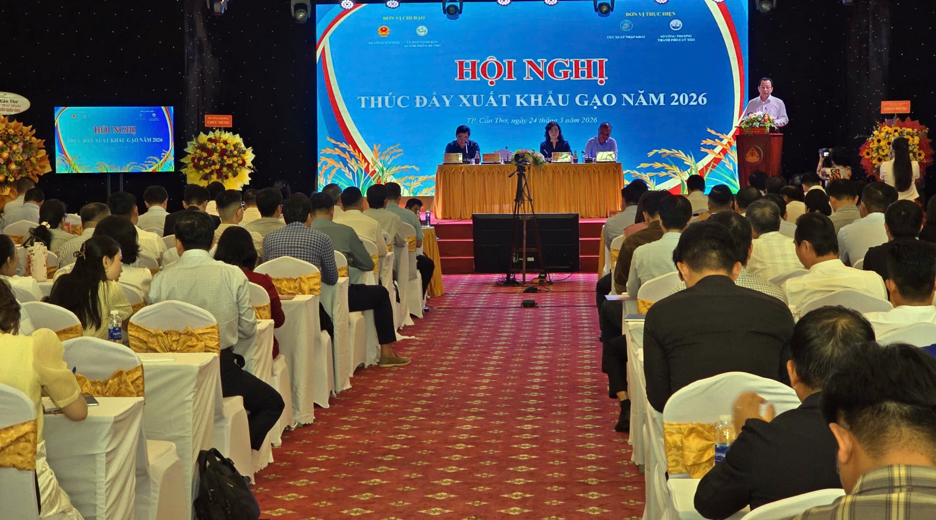 Tìm giải pháp thúc đẩy sản xuất, xuất khẩu gạo trong tình hình mới