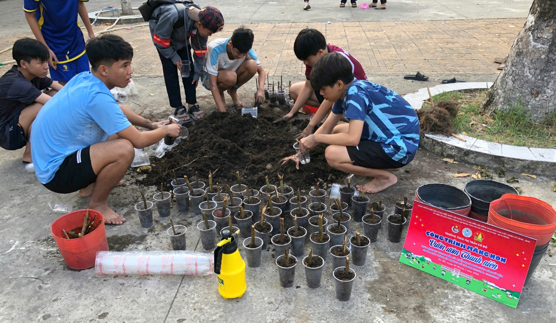 Tuổi trẻ Cờ Đỏ chung tay vun đắp những tuyến đường xanh
