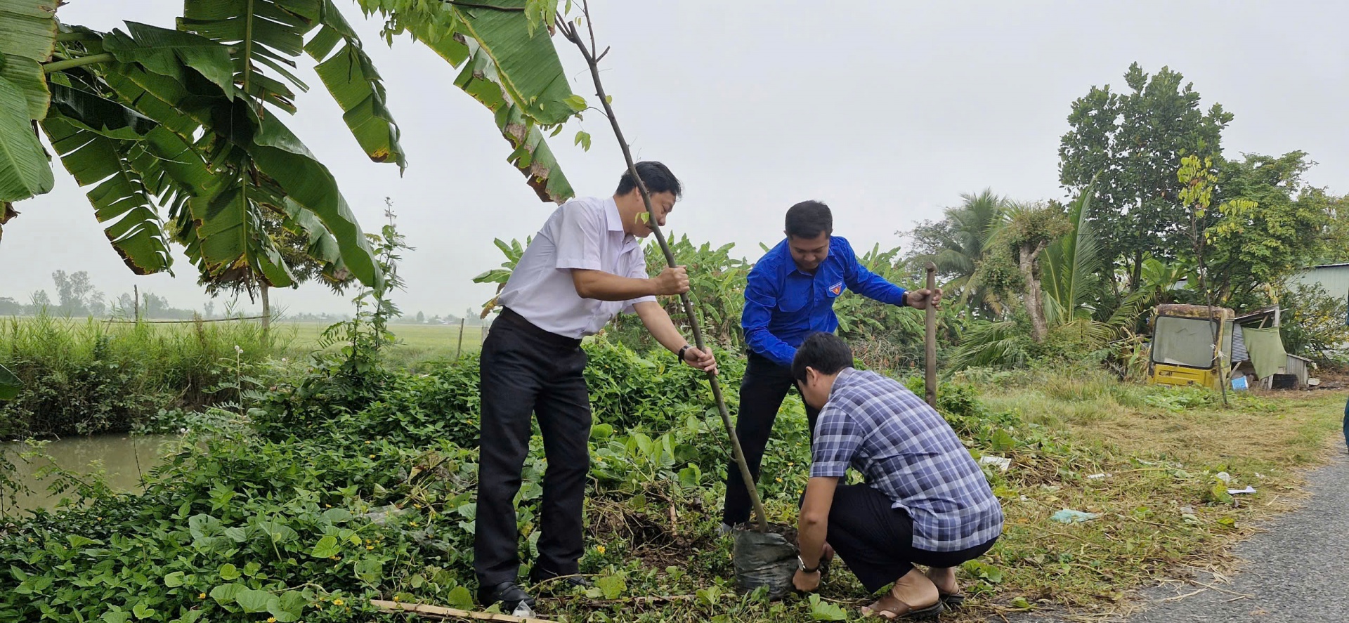 Tuổi trẻ Cờ Đỏ chung tay vun đắp những tuyến đường xanh