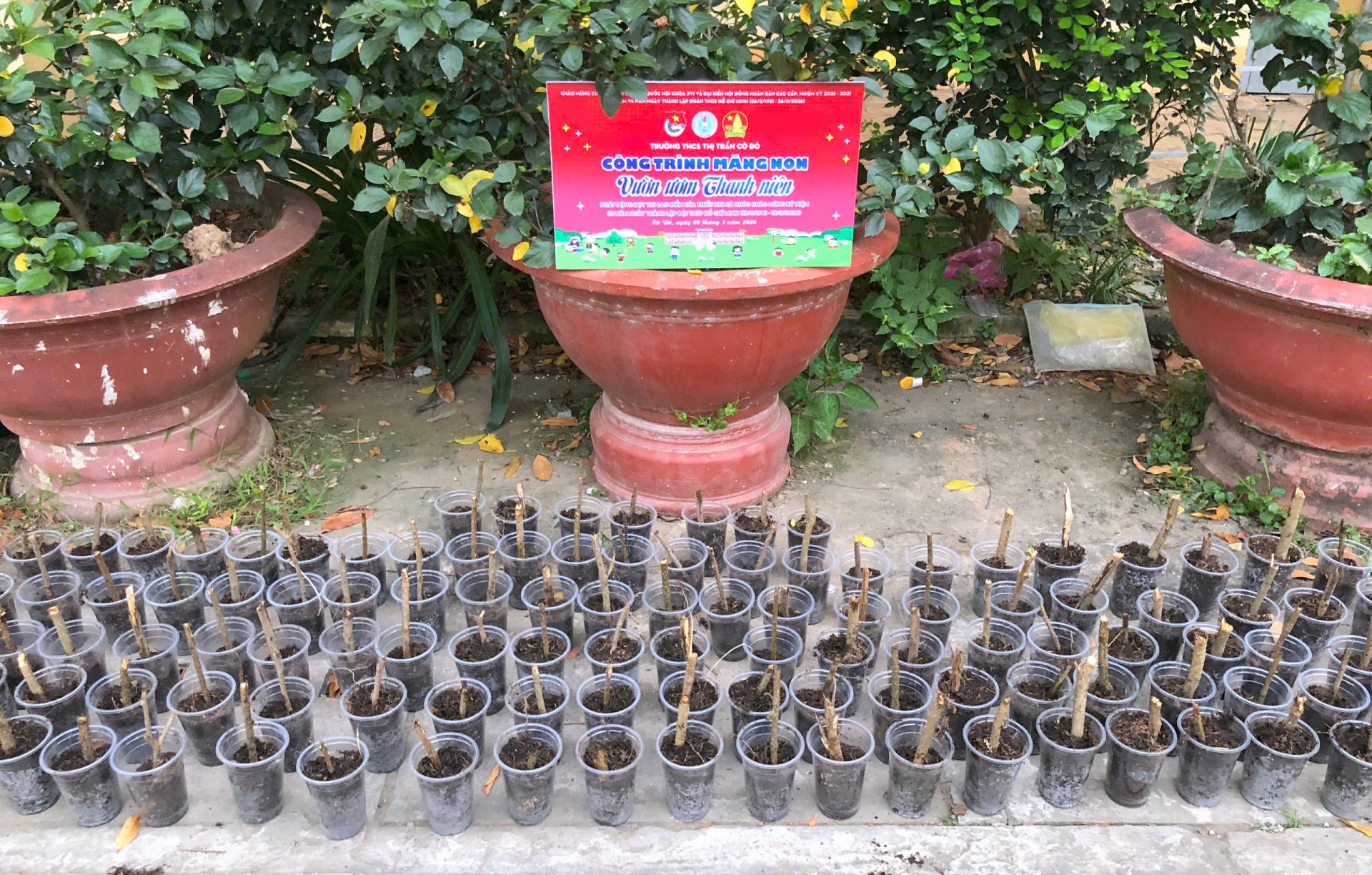 Tuổi trẻ Cờ Đỏ chung tay vun đắp những tuyến đường xanh