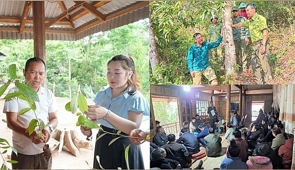 Điện Biên: Trồng cây giữ rừng, vun đắp màu xanh bền vững Điện Biên: Trồng cây giữ rừng, vun đắp màu xanh bền vững