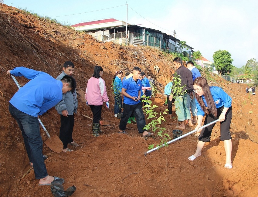 Điện Biên: Trồng cây giữ rừng, vun đắp màu xanh bền vững Điện Biên: Trồng cây giữ rừng, vun đắp màu xanh bền vững