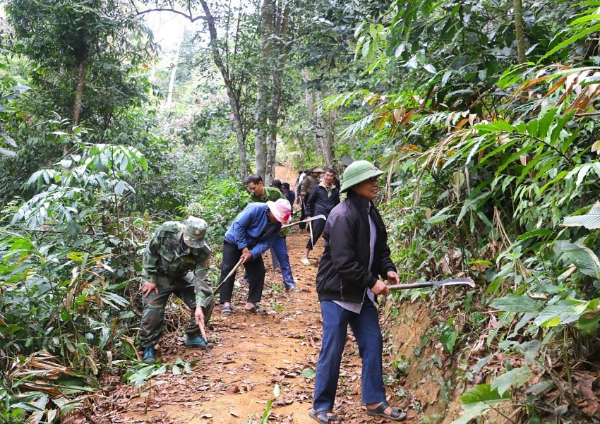Điện Biên: Trồng cây giữ rừng, vun đắp màu xanh bền vững Điện Biên: Trồng cây giữ rừng, vun đắp màu xanh bền vững