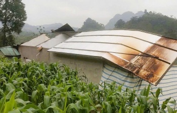 Tuyên Quang: Mưa dông gây thiệt hại nghiêm trọng, 1 người tử vong, hàng trăm nhà dân bị hư hỏng
