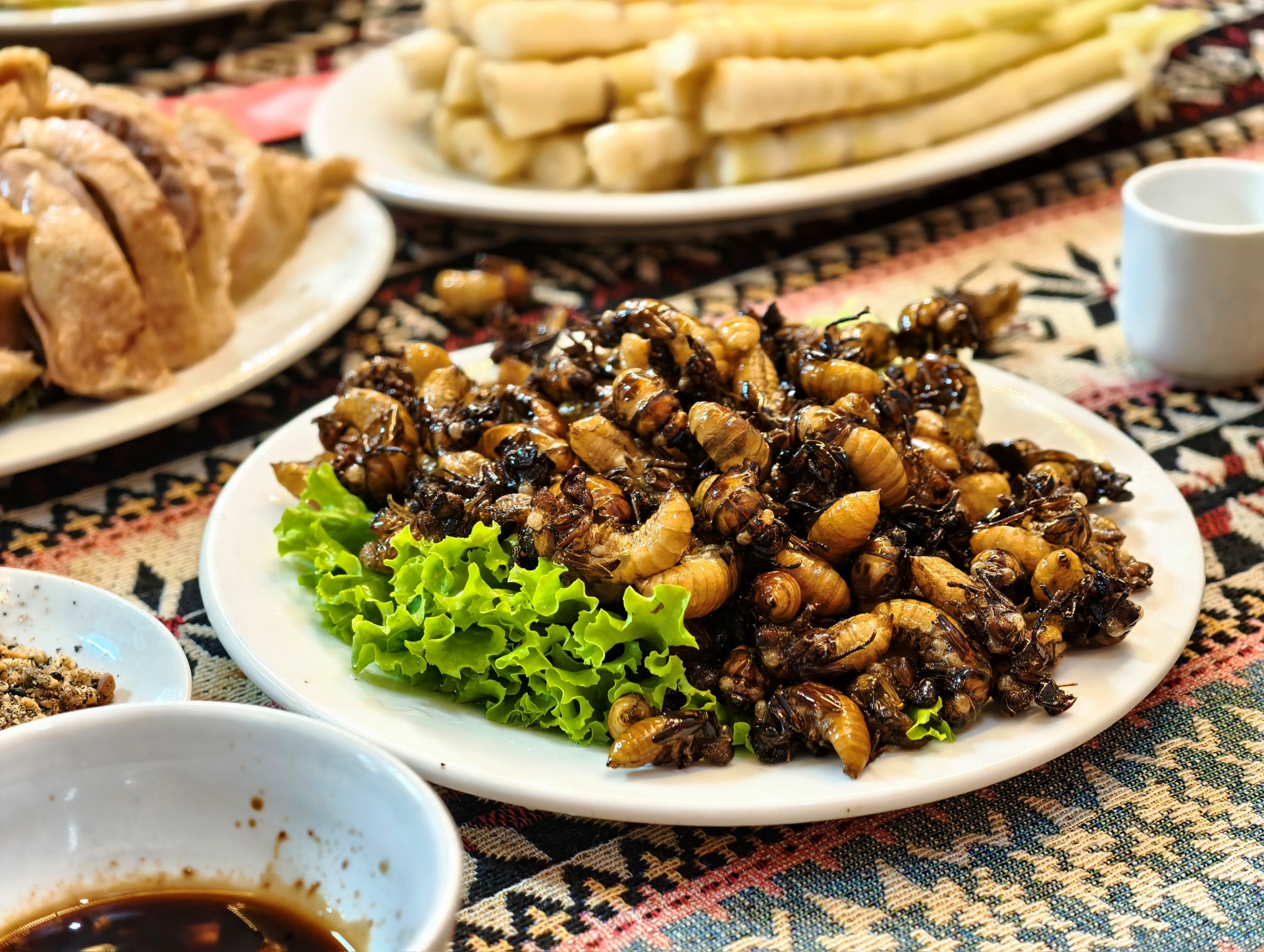 Ngọc Chiến: Miền cổ tích dưới tán hoa sơn tra Ngọc Chiến: Miền cổ tích dưới tán hoa sơn tra