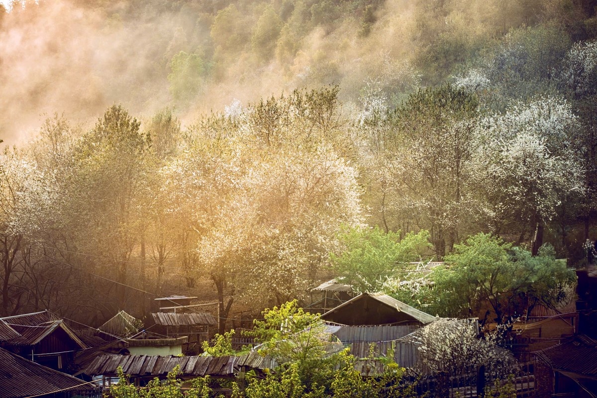 Ngọc Chiến: Miền cổ tích dưới tán hoa sơn tra Ngọc Chiến: Miền cổ tích dưới tán hoa sơn tra