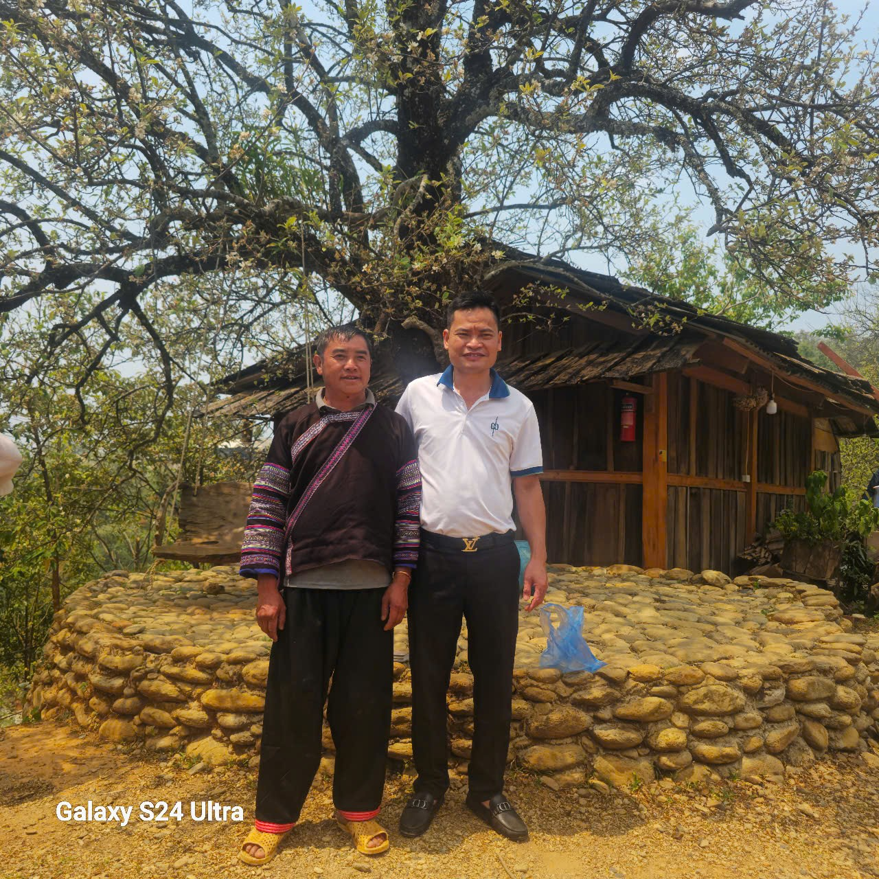 Ngọc Chiến: Miền cổ tích dưới tán hoa sơn tra Ngọc Chiến: Miền cổ tích dưới tán hoa sơn tra