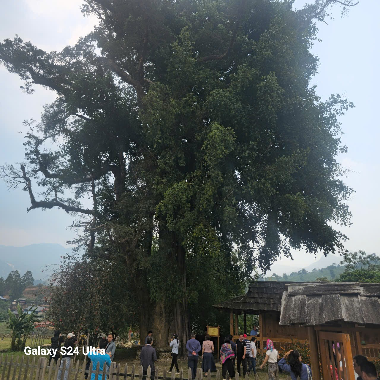 Ngọc Chiến: Miền cổ tích dưới tán hoa sơn tra Ngọc Chiến: Miền cổ tích dưới tán hoa sơn tra