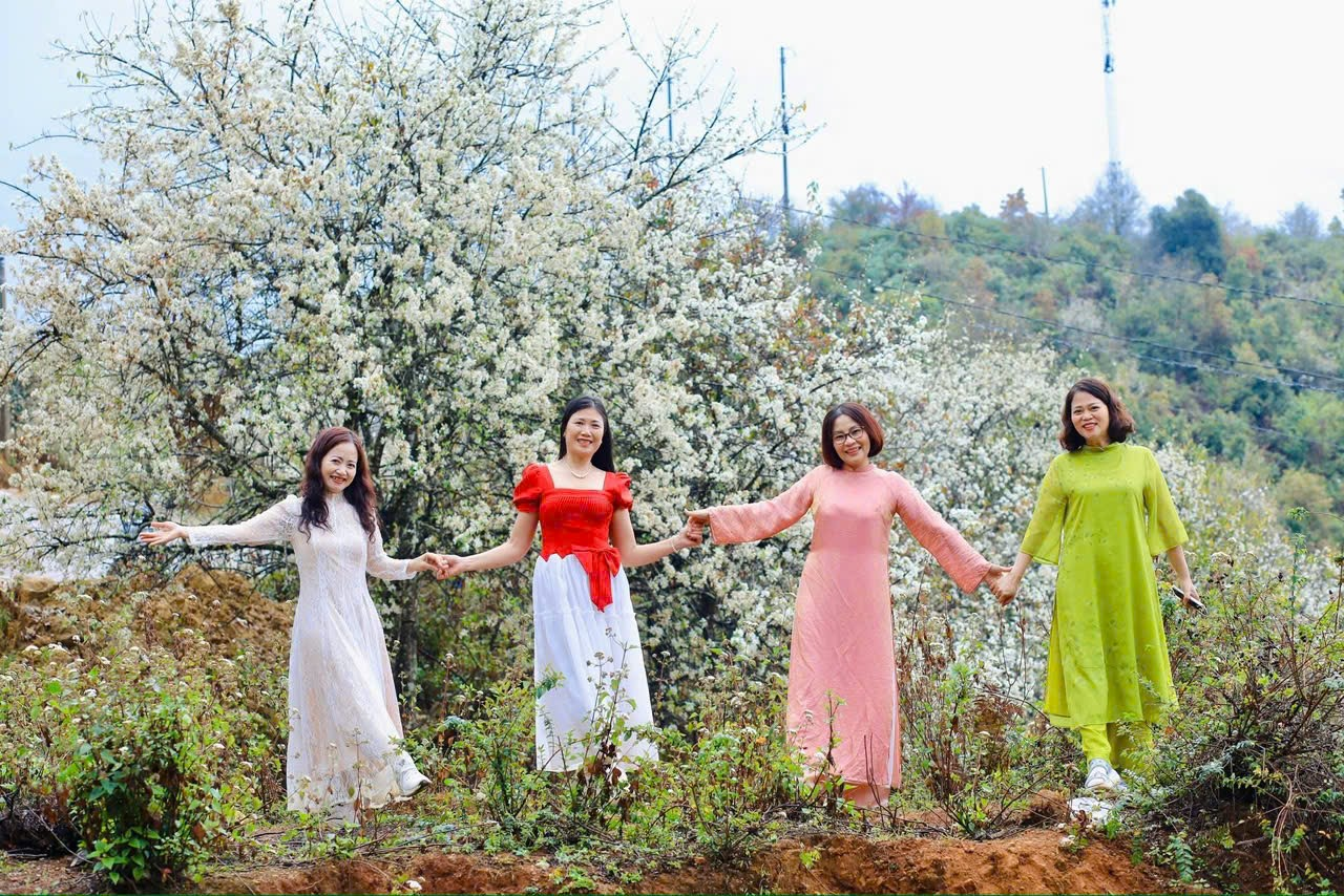 Ngọc Chiến: Miền cổ tích dưới tán hoa sơn tra