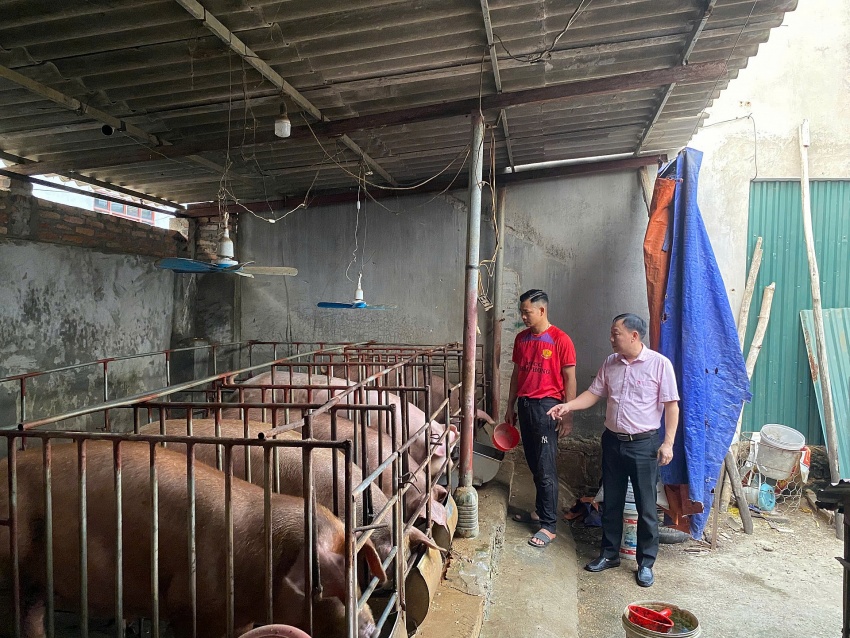 Phú Thọ: Hiệu quả nguồn vốn chính sách đòn bẩy tạo việc làm, phát triển kinh tế địa phương Phú Thọ: Hiệu quả nguồn vốn chính sách đòn bẩy tạo việc làm, phát triển kinh tế địa phương