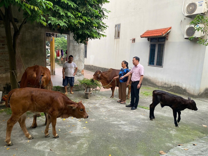 Phú Thọ: Hiệu quả nguồn vốn chính sách đòn bẩy tạo việc làm, phát triển kinh tế địa phương Phú Thọ: Hiệu quả nguồn vốn chính sách đòn bẩy tạo việc làm, phát triển kinh tế địa phương